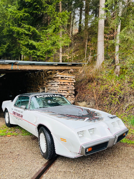 Pontiac Trans Am Pace Car 1980